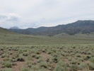 photo thumbnail #1