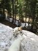 photo thumbnail #2