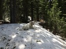 photo thumbnail #3