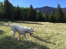 photo thumbnail #12