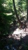 photo thumbnail #14