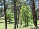 photo thumbnail #9