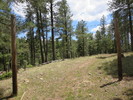 photo thumbnail #10