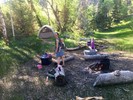 photo thumbnail #6