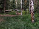 photo thumbnail #13