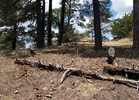 photo thumbnail #5