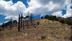 photo thumbnail #8