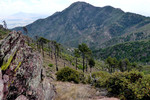 photo thumbnail #12