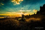 photo thumbnail #3