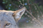 photo thumbnail #13