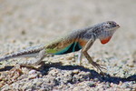 photo thumbnail #8