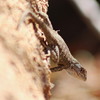 photo thumbnail #15