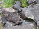 photo thumbnail #14