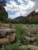 photo thumbnail #13