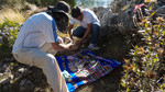 photo thumbnail #13