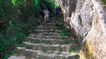 photo thumbnail #14