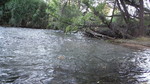 photo thumbnail #15