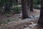 photo thumbnail #9