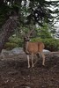 photo thumbnail #13