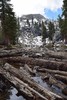 photo thumbnail #11