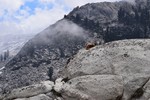 photo thumbnail #12