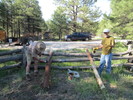 photo thumbnail #5