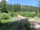 photo thumbnail #2