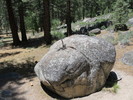 photo thumbnail #3