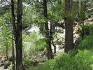 photo thumbnail #9