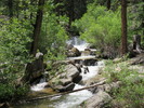 photo thumbnail #14