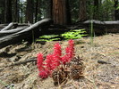 photo thumbnail #15