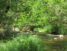 photo thumbnail #7