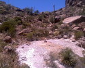 photo thumbnail #7