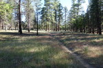 photo thumbnail #10