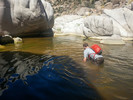 photo thumbnail #8