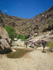 photo thumbnail #9