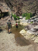 photo thumbnail #10