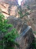 photo thumbnail #14