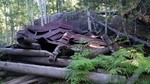 photo thumbnail #1