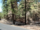 photo thumbnail #8