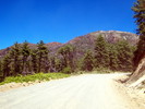photo thumbnail #12