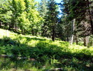 photo thumbnail #11