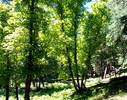photo thumbnail #12
