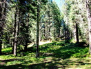 photo thumbnail #13