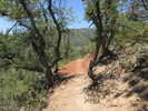 photo thumbnail #2