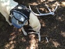 photo thumbnail #6