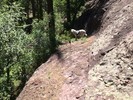 photo thumbnail #7