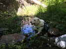 photo thumbnail #9