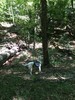 photo thumbnail #13