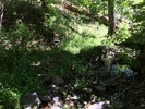 photo thumbnail #14
